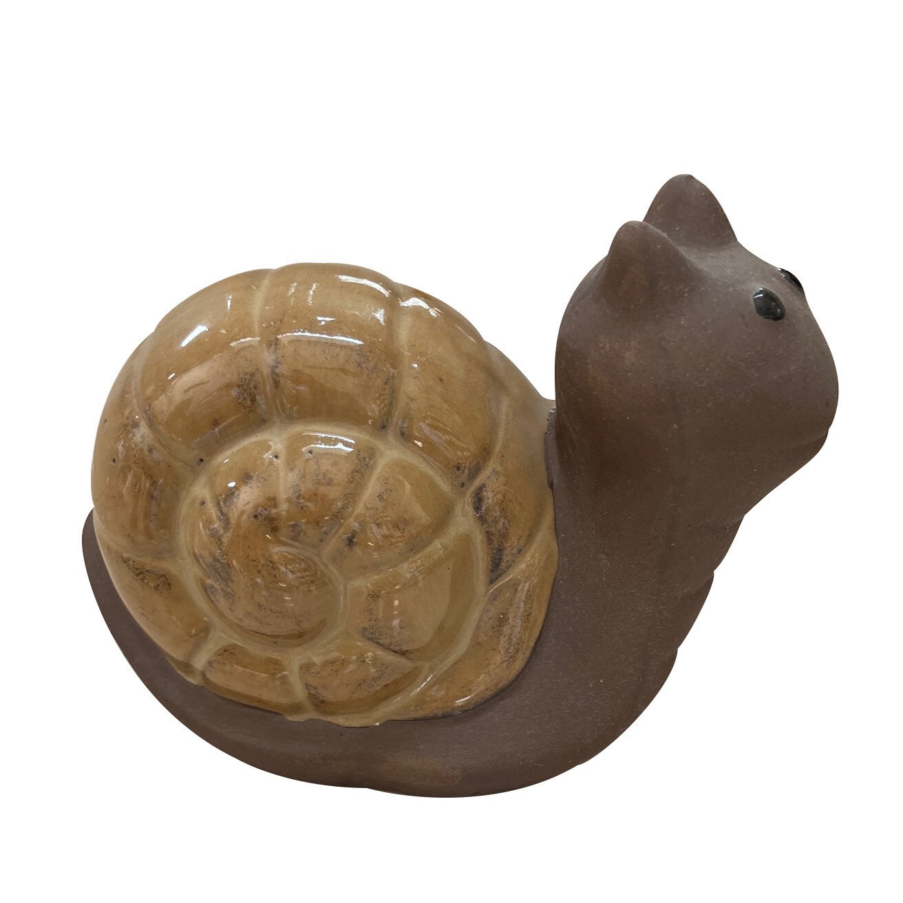 Snail