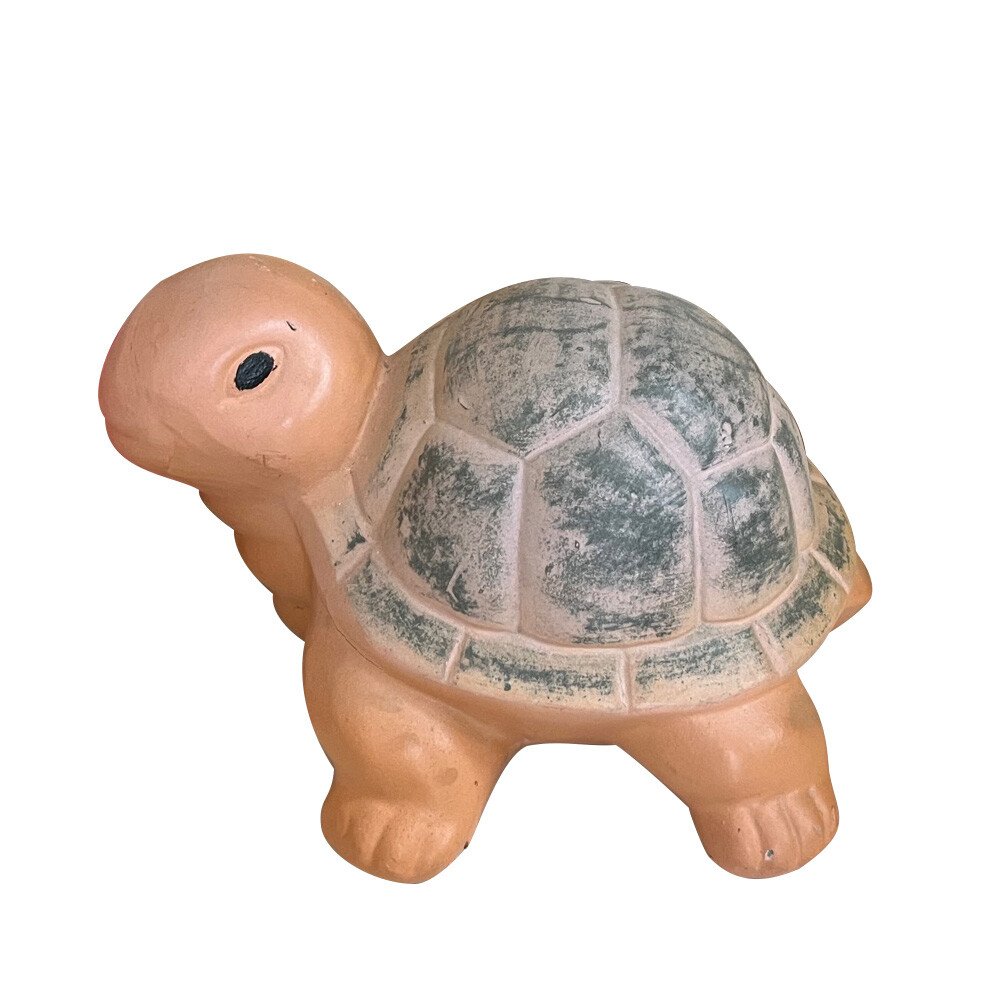 Little Turtle
