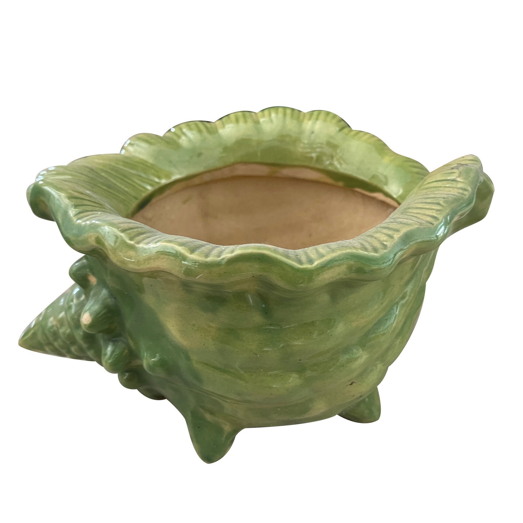 Footed Shell Planter