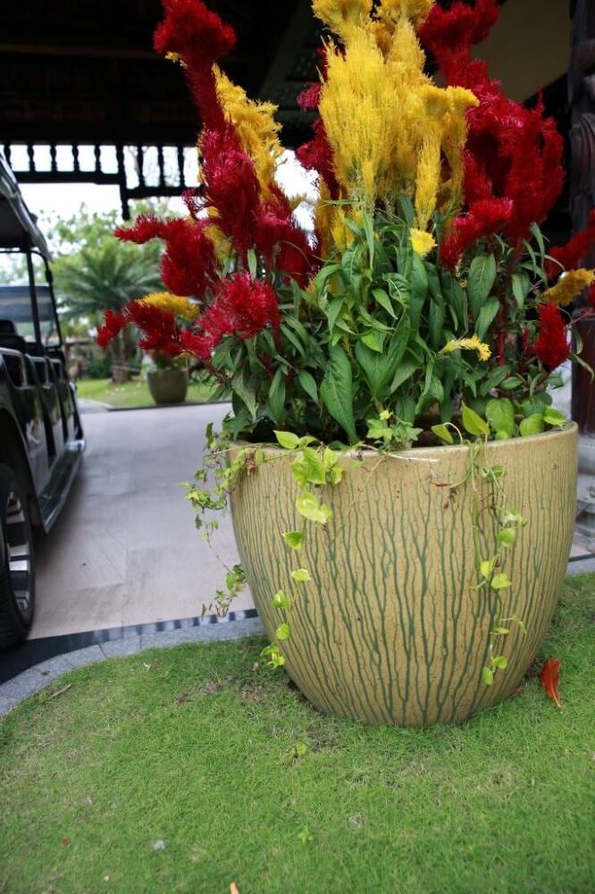 Large Flower Outdoor Pot 1000